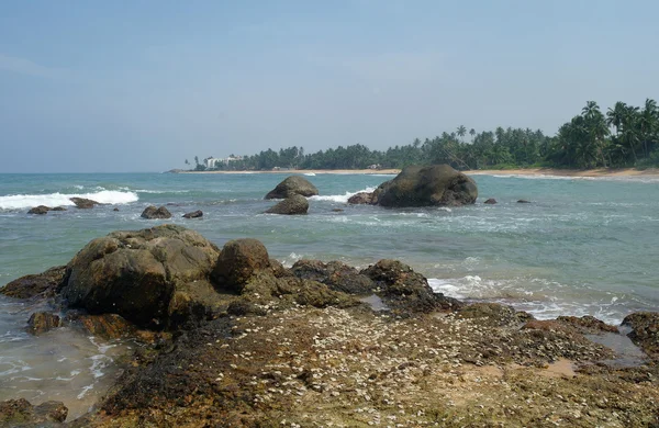 Laguna tropical en la costa  . — Foto de Stock