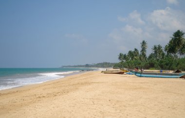 Resimlik plaj tropikal. Sri lanka