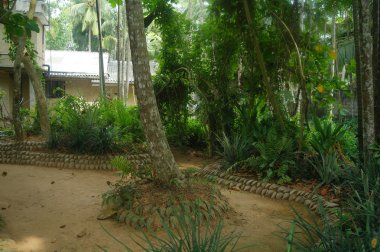 Evde tropik, Sri Lanka