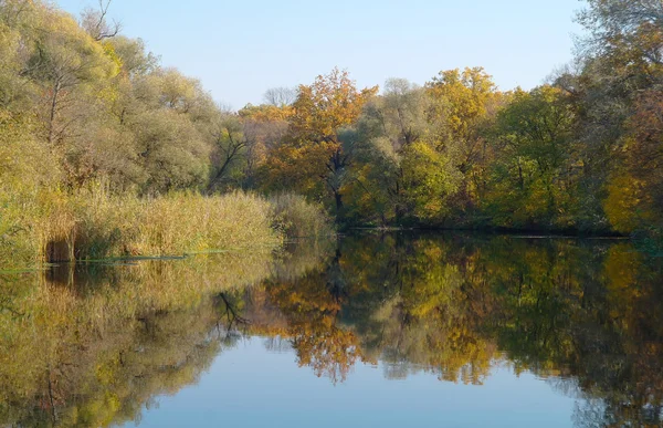 河景观和秋木 — 图库照片