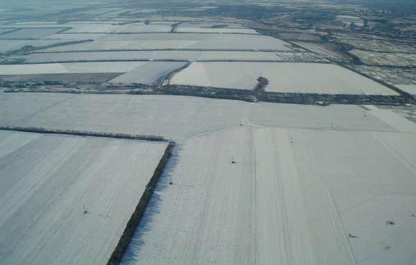 Vue aérienne sur la plante agricole — Photo