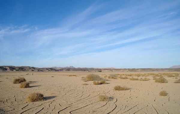 Deserto egiziano e cielo blu . — Foto Stock