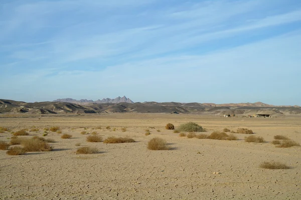 Deserto egiziano e cielo blu . — Foto Stock