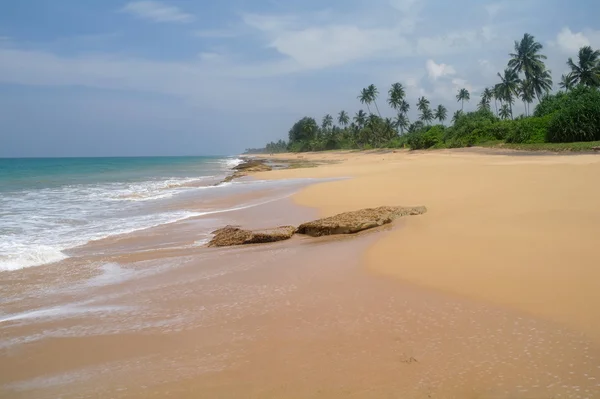 Pittoreska tropisk strand. Sri lanka — Stockfoto
