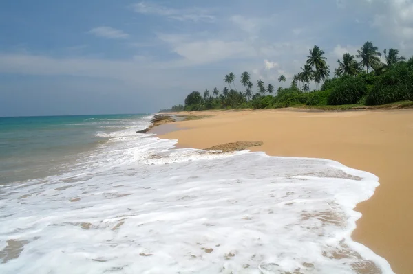 Malowniczej plaży tropikalnej. Sri lanka — Zdjęcie stockowe