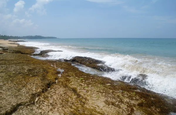 Kamienie na pięknej plaży w sri lanka. — Zdjęcie stockowe