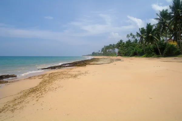 Pintoresca playa tropical. Sri Lanka —  Fotos de Stock