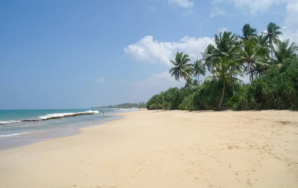 Pintoresca playa tropical. Sri Lanka —  Fotos de Stock