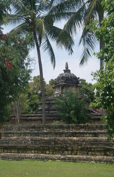 Templo hindu de pedra sob árvores em Kandy, Sri Lanka — Fotografia de Stock