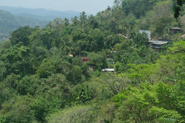 Krajobraz Sri lanka — Zdjęcie stockowe