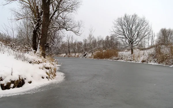 Invierno del río — Foto de Stock