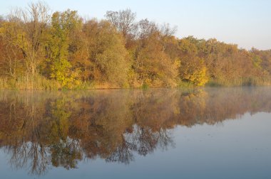 Nehir manzara ve sonbahar ahşap