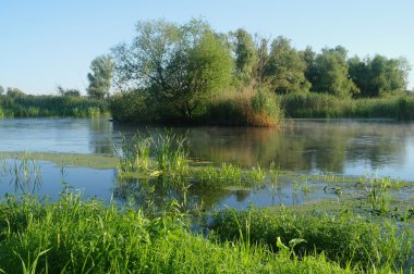 Sabah sis Nehri üzerinde yatay