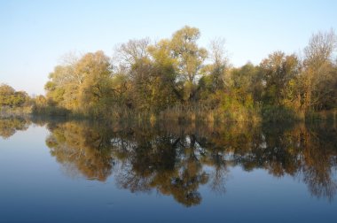 Nehir manzara ve sonbahar ahşap