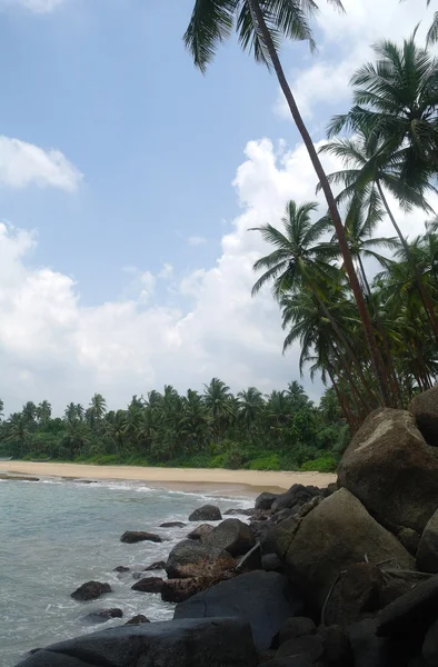 Pantai Liar di Pantai Sri lanka — Stok Foto