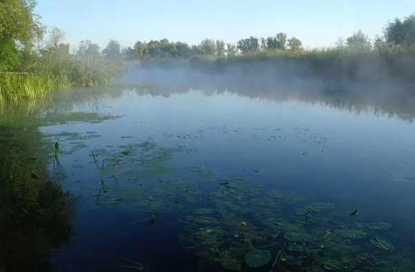 Nehir kıyısında ahşap sabah,