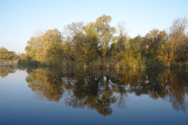 River landscape and  autumn wood — Stock Photo, Image