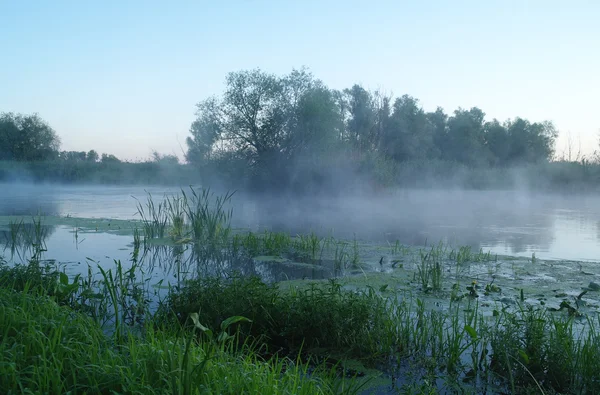 Paesaggio mattutino con nebbia sul fiume Immagini Stock Royalty Free