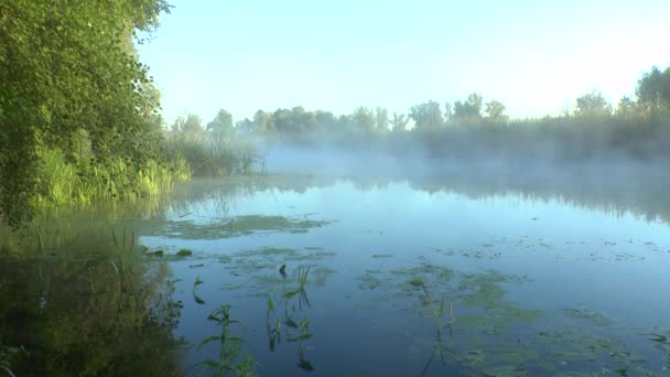 Typ auf dem Morgenfluss — Stockvideo