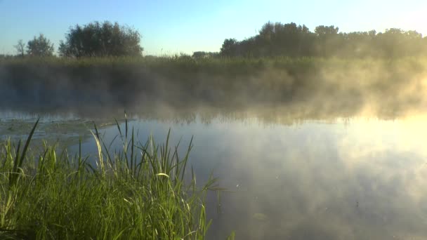 Digitare sul fiume del mattino — Video Stock