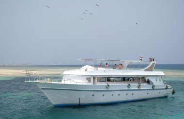 Mercan resifleri gemilerle turistik