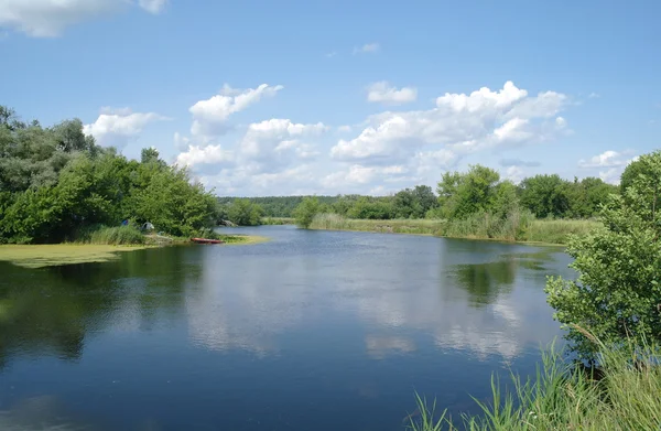 Річка, земля з деревами і хмарне небо — стокове фото