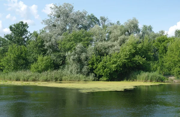 Fiume, terra con alberi e cielo nuvoloso — Foto Stock