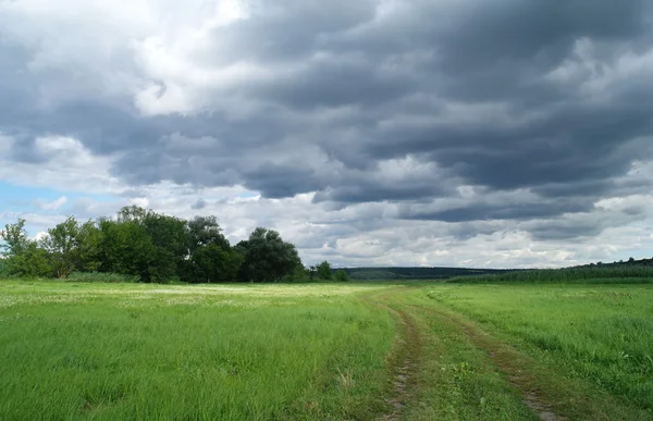 O prado e as nuvens de chuva dramáticas escuras . — Fotografia de Stock