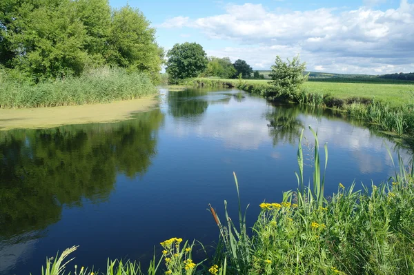 Rivier, land met bomen en bewolkte lucht — Stockfoto