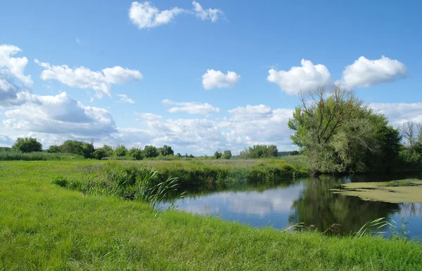 Rivière, terre avec arbres et ciel nuageux — Photo