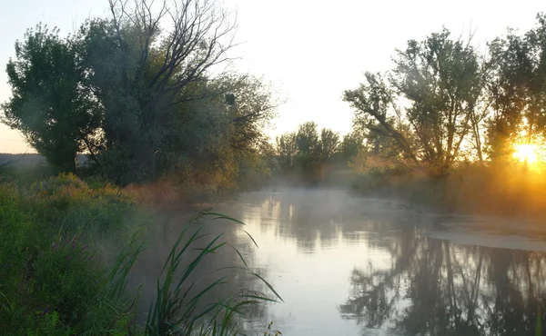 Paisagem da manhã com nevoeiro no rio — Fotografia de Stock
