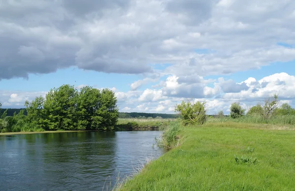 Flod, land med träd och molnig himmel — Stockfoto