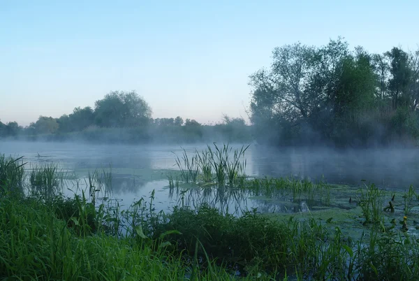 Paesaggio mattutino con nebbia sul fiume Fotografia Stock