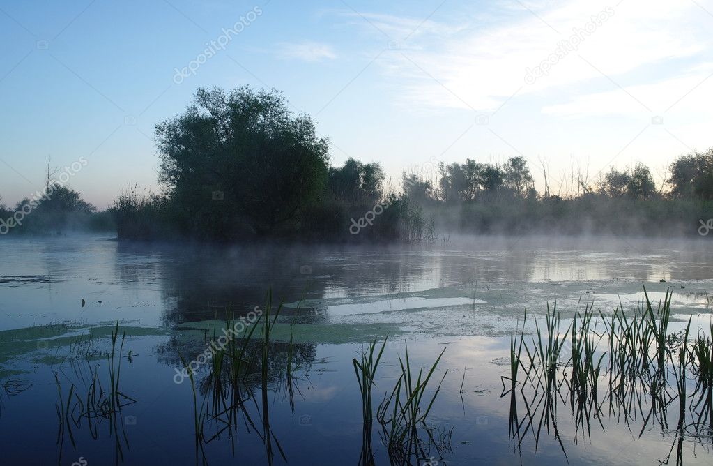 Morning landscape with fog on the river