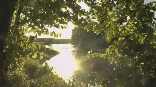 Flodlandskap vid solnedgången — Stockvideo