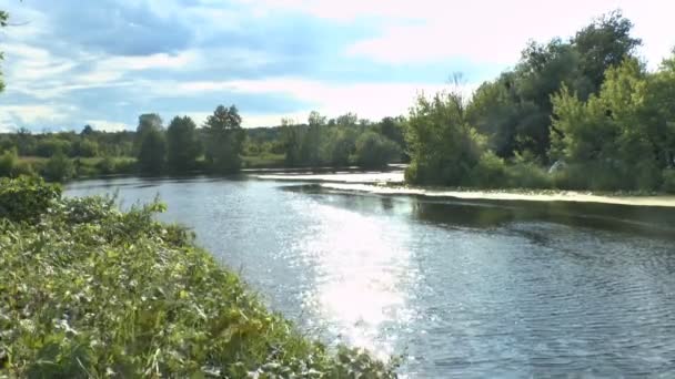Rivière qui coule et roseaux verts 
