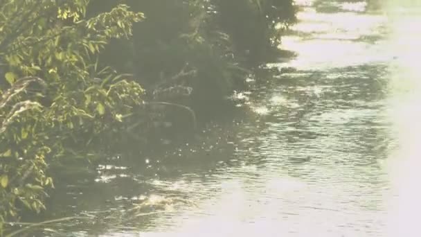 Beau coucher de soleil sur la rivière — Video