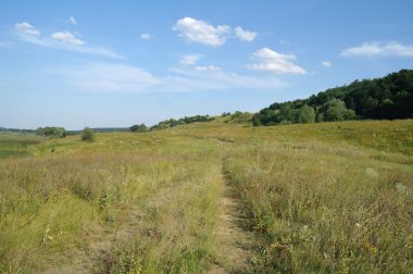Yeşil çimenli, yollu ve bulutlu yaz manzarası