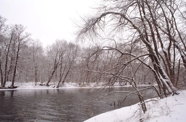 Invierno del río —  Fotos de Stock