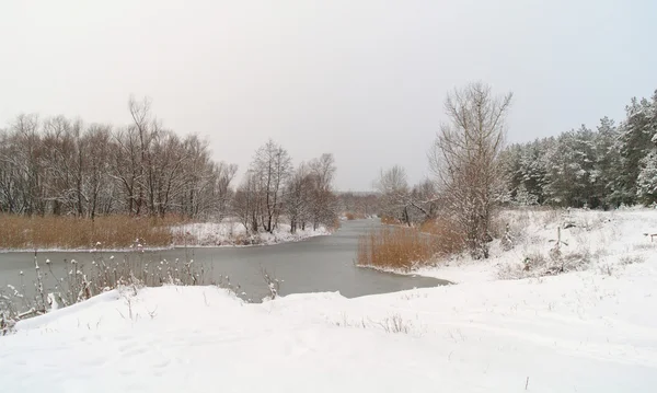 Zima nad rzeką — Zdjęcie stockowe