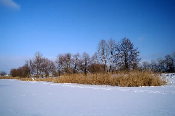 Winter des Flusses — Stockfoto