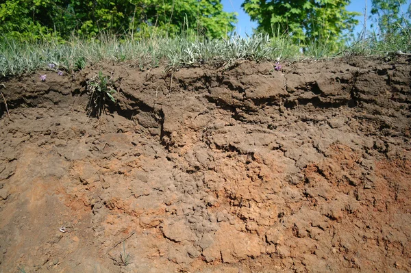 Zemin yüzeyinin altında toprak katmanları ayrıntılarını — Stok fotoğraf