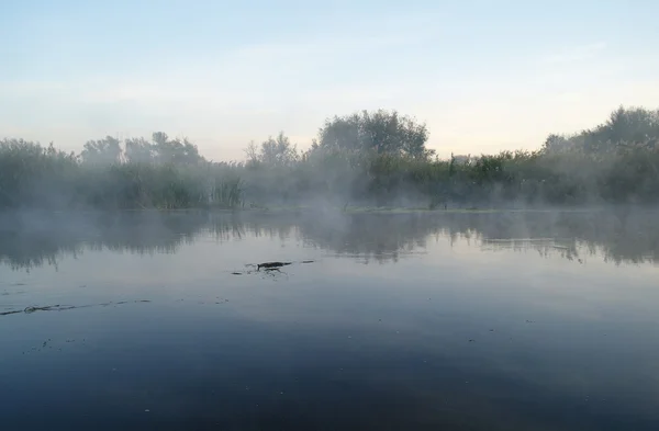 Paesaggio mattutino con nebbia sul fiume — Foto Stock