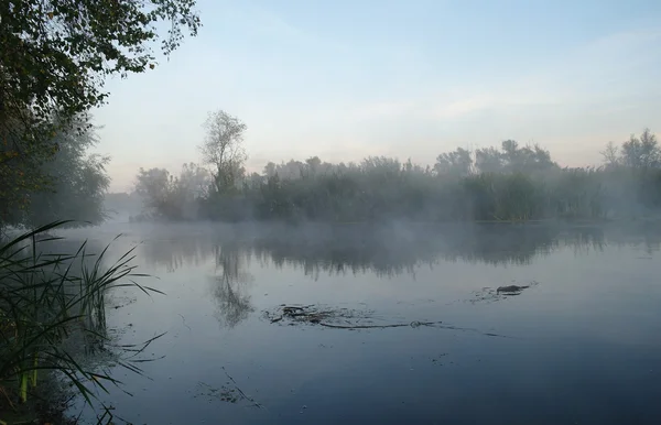 Ochtend landschap met mist op de rivier — Stockfoto