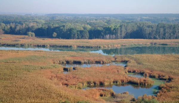 Vue des montagnes à la vallée de la rivière — Photo