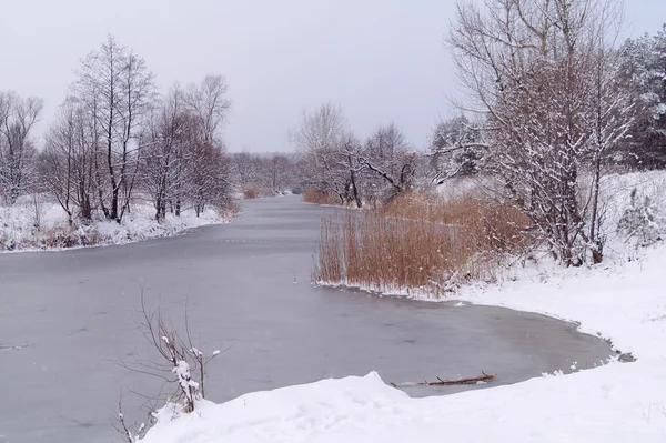 Inverno del fiume Foto Stock