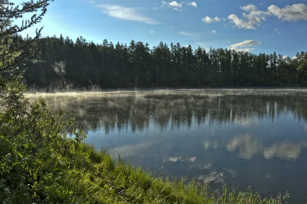 Bergsee zwischen den Bäumen — Stockfoto