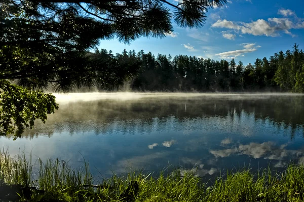 Ağaçları arasında sakin göl — Stok fotoğraf