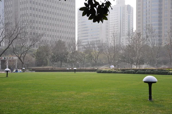 The lawn in the city Park