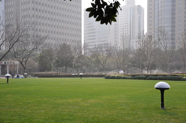 City Park çim
